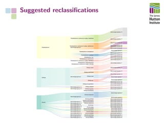 Suggested reclassiﬁcations
 