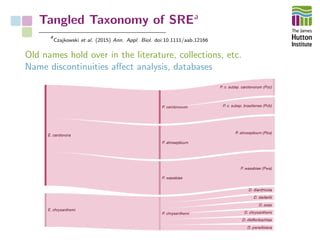 Tangled Taxonomy of SREa
a
Czajkowski et al. (2015) Ann. Appl. Biol. doi:10.1111/aab.12166
Old names hold over in the literature, collections, etc.
Name discontinuities aﬀect analysis, databases
 