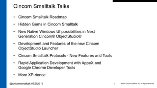 Hidden Gems in Cincom Smalltalk | PDF