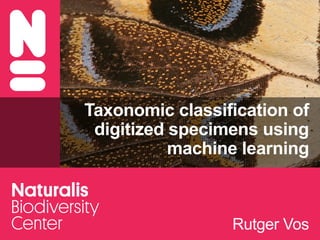 Taxonomic classification of
digitized specimens using
machine learning
Rutger Vos
 