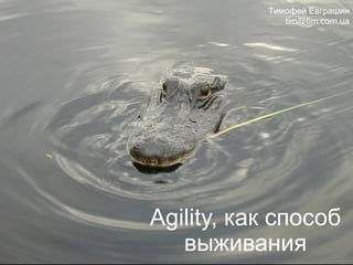 Agility, как способ
выживания
Тимофей Евграшин
tim@tim.com.ua
 