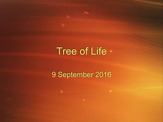 Tree of Life
9 September 2016
 