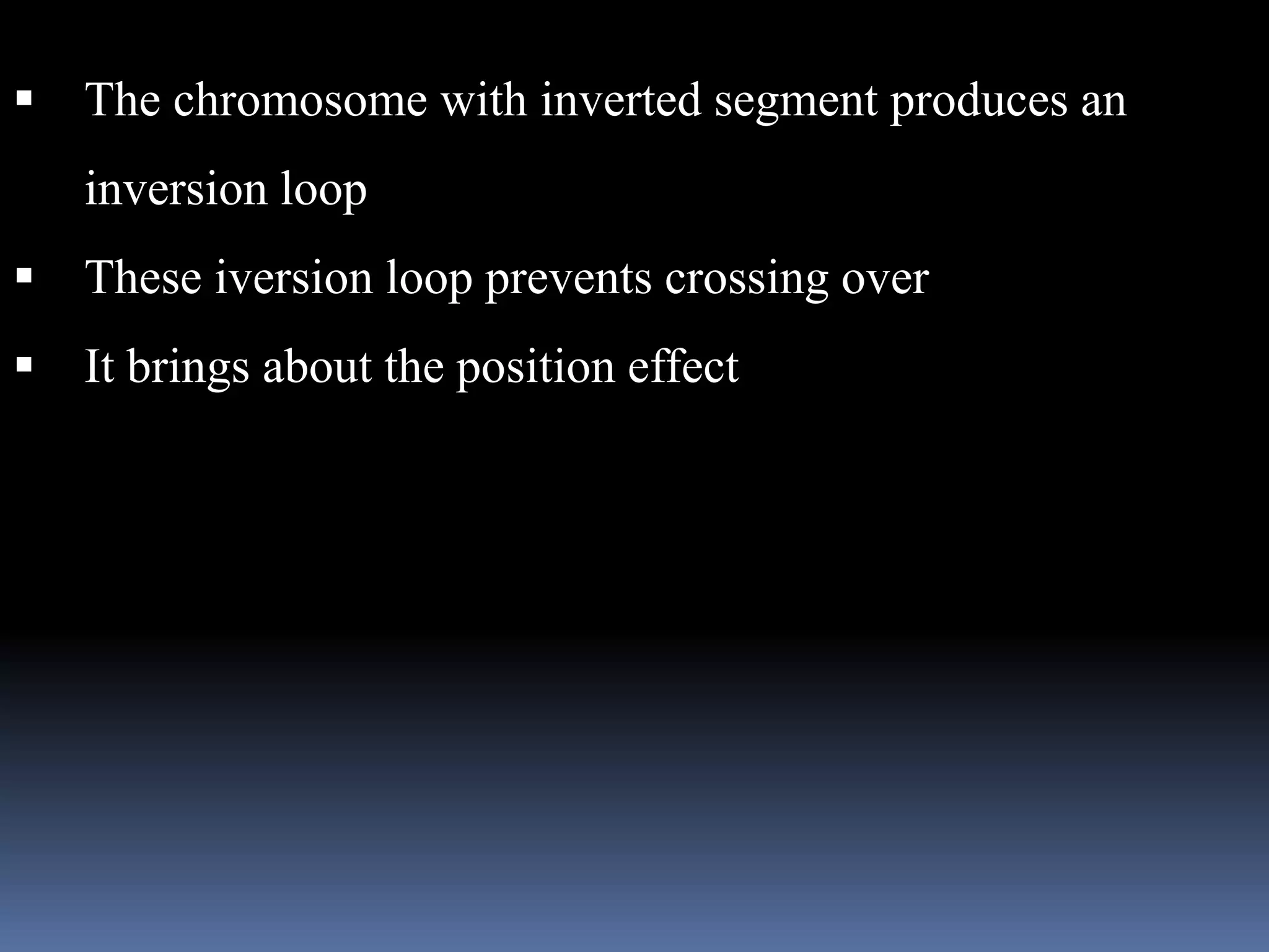  The chromosome with inverted segment produces an
inversion loop
 These iversion loop prevents crossing over
 It brings about the position effect
 