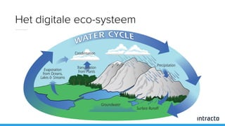 Het digitale eco-systeem
 