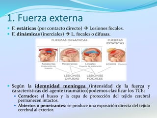 1. Fuerza externa
 F. estáticas (por contacto directo)  Lesiones focales.
 F. dinámicas (inerciales)  L. focales o difusas.
 Según la idemnidad meníngea (intensidad de la fuerza y
características del agente traumático)podemos clasificar los TCE:
 Cerrados: el hueso y la capa de protección del tejido cerebral
permanecen intactos.
 Abiertos o penetrantes: se produce una exposición directa del tejido
cerebral al exterior.
 