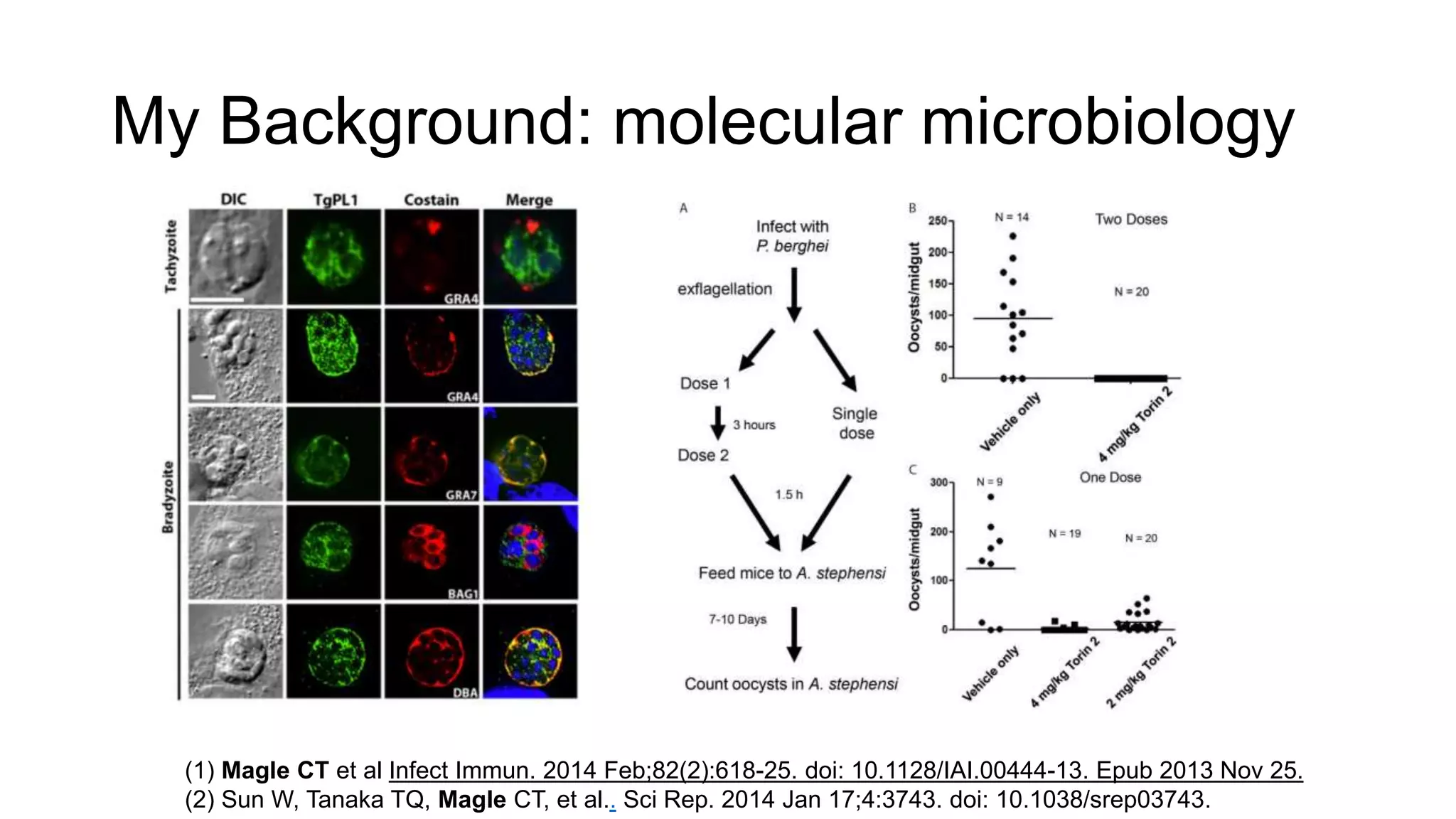 My Background: molecular microbiology
(1) Magle CT et al Infect Immun. 2014 Feb;82(2):618-25. doi: 10.1128/IAI.00444-13. Epub 2013 Nov 25.
(2) Sun W, Tanaka TQ, Magle CT, et al.. Sci Rep. 2014 Jan 17;4:3743. doi: 10.1038/srep03743.