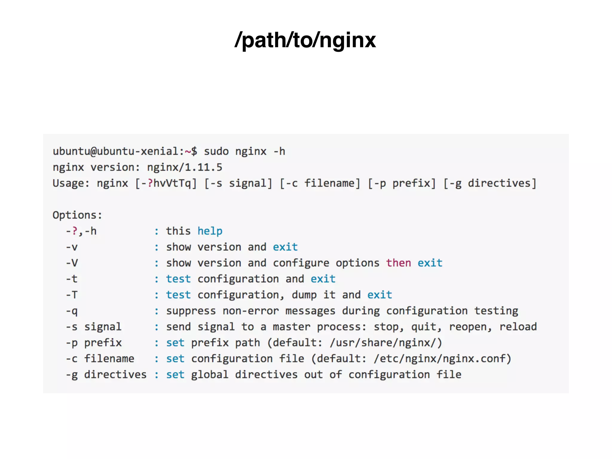 /path/to/nginx
 