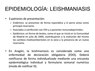 • 3 patrones de presentación:
– Endémico: se presentan de forma esporádica y el perro actúa como
principal reservorio.
– Asociados a coinfección con VIH y a pacientes inmunodeprimidos.
– Epidémico: en forma de brotes, como el que se inició en la Comunidad
de Madrid en julio de 2009, contribuyeron a la evolución del mismo
los cambios medioambientales en la zona y la presencia de un nuevo
reservorio.
• En Aragón, la leishmaniasis es considerada como una
enfermedad de declaración obligatoria (EDO). Deberá
notificarse de forma individualizada mediante una encuesta
epidemiológica individual y formulario semanal numérico
(modo de notificar D).
EPIDEMIOLOGÍA: LEISHMANIASIS
 