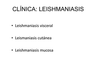 • Leishmaniasis visceral
• Leismaniasis cutánea
• Leishmaniasis mucosa
CLÍNICA: LEISHMANIASIS
 
