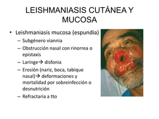 LEISHMANIASIS CUTÁNEA Y
MUCOSA
• Leishmaniasis mucosa (espundia)
– Subgénero viannia
– Obstrucción nasal con rinorrea o
epistaxis
– Laringe disfonia
– Erosión (nariz, boca, tabique
nasal) deformaciones y
mortalidad por sobreinfección o
desnutrición
– Refractaria a tto
 