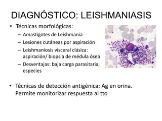 • Técnicas morfológicas:
– Amastigotes de Leishmania
– Lesiones cutáneas por aspiración
– Leishmaniosis visceral clásica:
aspiración/ biopsia de médula ósea
– Desventajas: baja carga parasitaria,
especies
• Técnicas de detección antigénica: Ag en orina.
Permite monitorizar respuesta al tto
DIAGNÓSTICO: LEISHMANIASIS
 