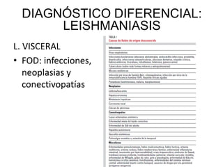 L. VISCERAL
• FOD: infecciones,
neoplasias y
conectivopatías
DIAGNÓSTICO DIFERENCIAL:
LEISHMANIASIS
 
