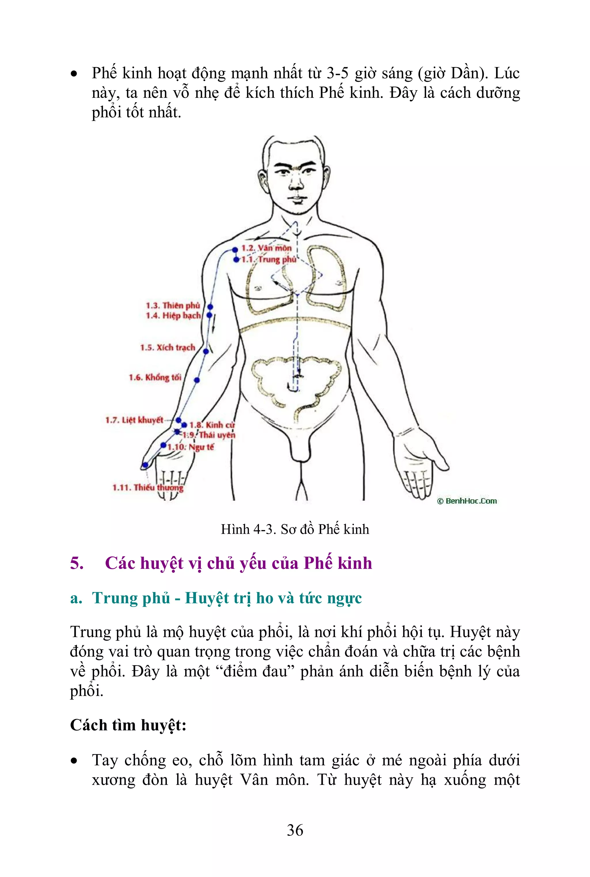 Cẩm nang dưỡng sinh thông kinh lạc | PDF