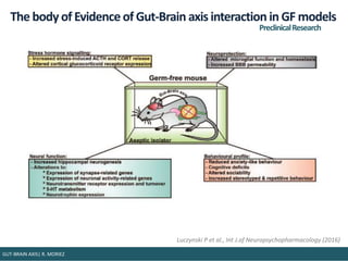 The body of Evidence of Gut-Brain axis interaction in GF models
Luczynski P et al., Int J.of Neuropsychopharmacology (2016...
