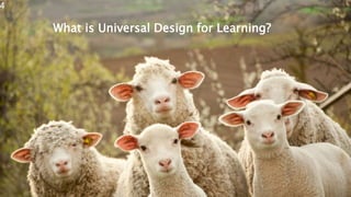 What is Universal Design for Learning?
4
 