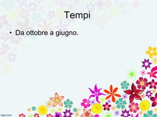 Tempi 
• Da ottobre a giugno. 
 