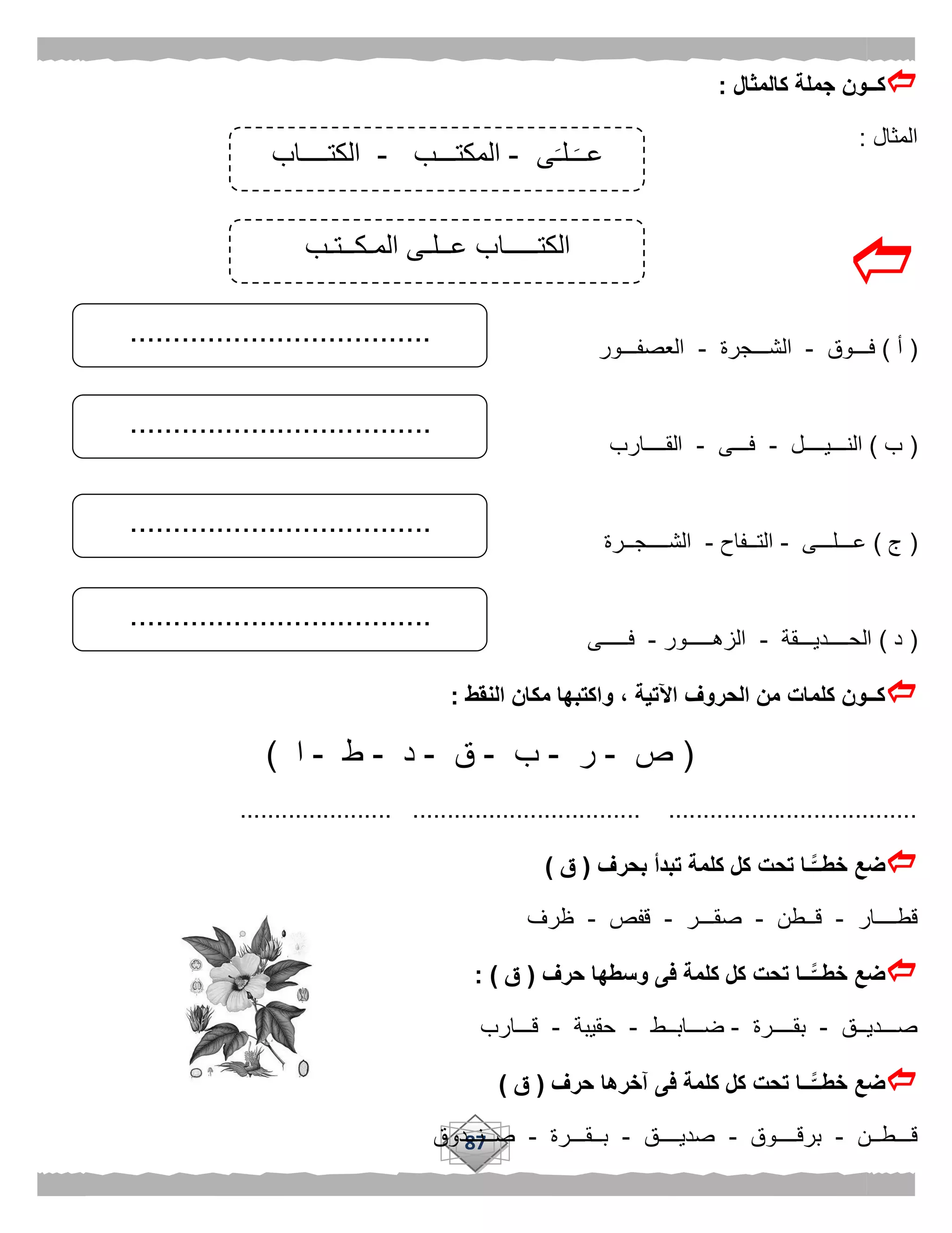 87
‫كالمثال‬ ‫جملة‬ ‫كــون‬:
‫المثال‬:

(‫أ‬)‫فـــوق‬-‫الشـــجرة‬-‫العصفـــور‬
(‫ب‬)‫النـــيــــل‬-‫فـــى‬-‫القــــارب‬
(‫ج‬)‫عـــلـــى‬-‫التــفاح‬-‫الشــــجــرة‬
(‫د‬)‫الحــــديـــقة‬-‫الزهـــــور‬-‫فـــــى‬
‫النقط‬ ‫مكان‬ ‫واكتبها‬ ، ‫اآلتية‬ ‫الحروف‬ ‫من‬ ‫كلمات‬ ‫كــون‬:
(‫ص‬-‫ر‬-‫ب‬-‫ق‬-‫د‬-‫ط‬-‫ا‬)
..................... ................................. .....................................
‫بحرف‬ ‫تبدأ‬ ‫كلمة‬ ‫كل‬ ‫تحت‬ ‫ًّـا‬‫خطــ‬ ‫ضع‬(‫ق‬)
‫قطــــار‬-‫قــطن‬-‫صقـــر‬-‫قفص‬-‫ظرف‬
‫حرف‬ ‫وسطها‬ ‫فى‬ ‫كلمة‬ ‫كل‬ ‫تحت‬ ‫ًّــا‬‫خطــ‬ ‫ضع‬(‫ق‬: )
‫صـــديــق‬-‫بقــــرة‬-‫ضـــابــط‬-‫حقيبة‬-‫قـــارب‬
‫حرف‬ ‫آخرها‬ ‫فى‬ ‫كلمة‬ ‫كل‬ ‫تحت‬ ‫ًّــا‬‫خطــ‬ ‫ضع‬(‫ق‬)
‫قـــطــن‬-‫برقــــوق‬-‫صديــــق‬-‫بــقـــرة‬-‫صــنــدوق‬
‫ى‬‫ـلـ‬‫عــ‬-‫المكتـــب‬-‫الكتــــاب‬
‫الكتـــــا‬‫المـكــتـب‬ ‫عــلـى‬ ‫ب‬
...................................
...................................
...................................
...................................
 