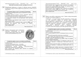 Демонстрационный вариант ЕГЭ 2016 г. БИОЛОГИЯ, 11 класс. (2016 - 17 / 22)
© 2016 Федеральная служба по надзору в сфере образования и науки Российской Федерации
Критерии оценивания заданий с развёрнутым ответом
Замораживание ферментов, в отличие от действия высоких температур,
не приводит к потере активности ферментов в нормальных условиях. Чем это
объясняется?
Содержание верного ответа и указания по оцениванию
(допускаются иные формулировки ответа, не искажающие его смысла)
Баллы
Элементы ответа:
1) ферменты являются белками, поэтому нагревание приводит
к их необратимой денатурации и потере активности;
2) низкие температуры вызывают обратимую денатурацию белков,
и в нормальных условиях они восстанавливают свою структуру
и активность
Ответ включает два названных выше элемента и не содержит
биологических ошибок
2
Ответ включает один из названных выше элементов, ИЛИ ответ
включает два названных выше элемента, но содержит
биологические ошибки
1
Ответ неправильный 0
Максимальный балл 2
Назовите зародышевый листок позвоночного
животного, обозначенный на рисунке
вопросительным знаком. Какие типы тканей и
системы органов формируются из него?
Содержание верного ответа и указания по оцениванию
(допускаются иные формулировки ответа, не искажающие его смысла)
Баллы
Элементы ответа:
1) средний зародышевый листок – мезодерма;
2) формируются ткани: соединительная, мышечная;
3) формируются системы органов: опорно-двигательная,
кровеносная, выделительная, половая, кровь
Ответ включает все названные выше элементы, не содержит
биологических ошибок
3
34
35
Демонстрационный вариант ЕГЭ 2016 г. БИОЛОГИЯ, 11 класс. (2016 - 18 / 22)
© 2016 Федеральная служба по надзору в сфере образования и науки Российской Федерации
Ответ включает два из названных выше элементов и не содержит
биологических ошибок, ИЛИ ответ включает три названных выше
элемента, но содержит биологические ошибки
2
Ответ включает один из названных выше элементов и не содержит
биологических ошибок, ИЛИ ответ включает два из названных
выше элементов, но содержит биологические ошибки
1
Ответ неправильный 0
Максимальный балл 3
Найдите три ошибки в приведённом тексте. Укажите номера предложений,
в которых они сделаны, исправьте их.
1. Водоросли – это группа низших растений, обитающих в водной среде.
2. У них отсутствуют органы, но имеются ткани: покровная,
фотосинтезирующая и образовательная. 3. В одноклеточных водорослях
осуществляется как фотосинтез, так и хемосинтез. 4. В цикле развития
водорослей происходит чередование полового и бесполого поколений.
5. При половом размножении гаметы сливаются, происходит
оплодотворение, в результате которого и развивается гаметофит.
6. В водных экосистемах водоросли выполняют функцию продуцентов.
Содержание верного ответа и указания к оцениванию
(допускаются иные формулировки ответа, не искажающие его смысла)
Баллы
Элементы ответа:
ошибки допущены в предложениях:
1) 2 – зелёные водоросли состоят из одинаковых клеток и не имеют
тканей;
2) 3 – в клетках водорослей не происходит хемосинтеза;
3) 5 – при слиянии гамет образуется зигота, из которой развивается
спорофит, а гаметофит развивается из споры.
В ответе указаны и исправлены все ошибки. Ответ не содержит
лишней неверной информации
3
В ответе указаны две-три ошибки, но исправлены только две. За
неправильно названные и исправленные предложения баллы не
снижаются
2
В ответе указаны одна–три ошибки, но исправлена только одна. За
неправильно названные и исправленные предложения баллы не
снижаются
1
Ответ неправильный: ошибки определены и исправлены неверно,
ИЛИ указаны одна–три ошибки, но не исправлена ни одна из них
0
Максимальный балл 3
36
 