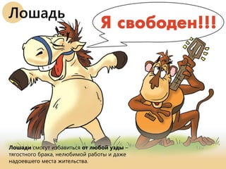 Лошади смогут избавиться от любой узды –
тягостного брака, нелюбимой работы и даже
надоевшего места жительства.
Лошадь
 