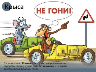 Год не подходит Крысам для крутых поворотов в жизни.
Шустрому грызуну нужно быть осторожным и не терять
бдительность в бешеной гонке.
Крыса
 