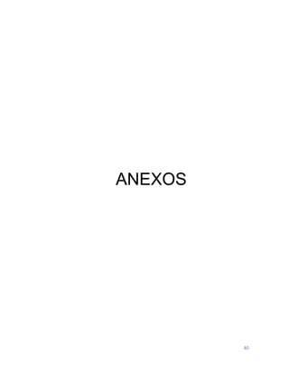 40
ANEXOS
 
