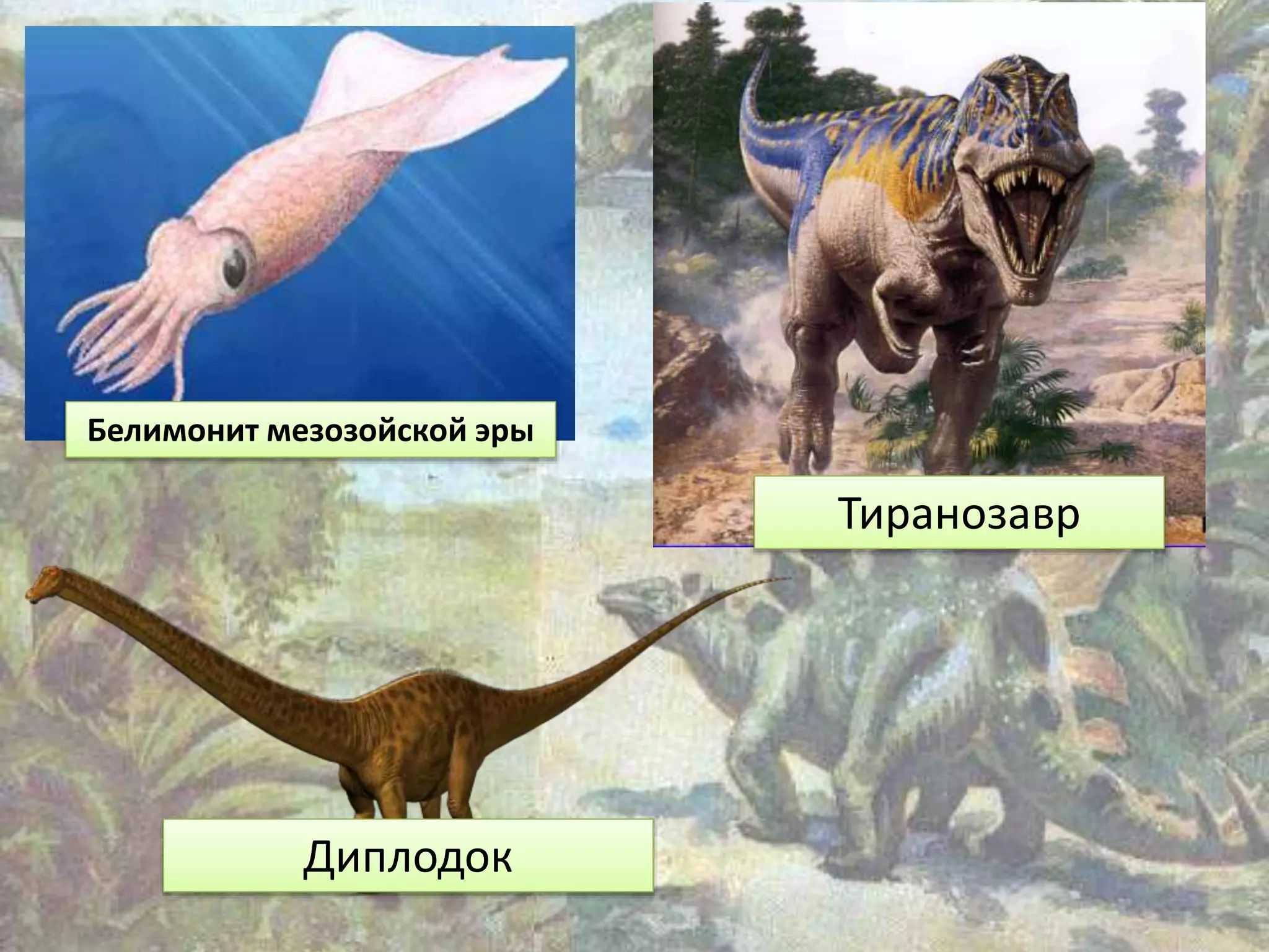 Диплодок
Тиранозавр
Белимонит мезозойской эры
 