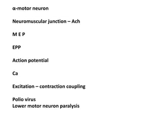 α-motor neuron
Neuromuscular junction – Ach
M E P
EPP
Action potential
Ca
Excitation – contraction coupling
Polio virus
Lower motor neuron paralysis