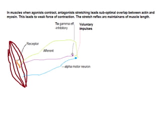 2016.03.15 neurophysiology-intro