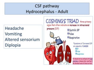 CSF pathway
Hydrocephalus - Adult
Headache
Vomiting
Altered sensorium
Diplopia
 