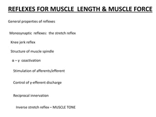 REFLEXES FOR MUSCLE LENGTH & MUSCLE FORCE
General properties of reflexes
Monosynaptic reflexes: the stretch reflex
Knee jerk reflex
Structure of muscle spindle
α – γ coactivation
Stimulation of afferents/efferent
Control of γ-efferent discharge
Reciprocal innervation
Inverse stretch reflex – MUSCLE TONE
 