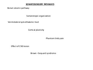 Dorsal column pathway
Somatotopic organization
Ventrolateral spinothalamic tract
Cortical plasticity
Phantom limb pain
Effect of CNS lesion
Brown –Sequard syndrome
SOMATOSENSORY PATHWAYS
 
