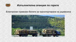 Изпълнителна агенция по горите
Електронен превозен билети за транспортиране на дървесина
 
