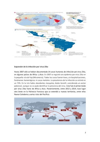 3
Expansión de la infección por virus Zika
Hasta 2007 sólo se habían documentado 14 casos humanos de infección por virus Zika,
en algunos países de Africa y Asia. En 2007 se registró una epidemia por virus Zika en
la pequeña isla de Yap (Micronesia). Todos los casos fueron leves, sin hospitalizaciones,
fenómenos hemorrágicos ni casos mortales. La prevalencia de la infección se estimó en
un 73%. En la isla había abundantes mosquitos Aedes hensilli, considerado un vector
potencial, aunque no se pudo identificar la presencia del virus. Este fué el primer brote
por virus Zika fuera de Africa y Asia. Posteriormente, entre 2013 y 2014, tuvo lugar
otro brote en la Polinesia Francesa que se extendió a nuevos territorios, entre ellos
Nueva Caledonia y varias islas del Pacífico.
 