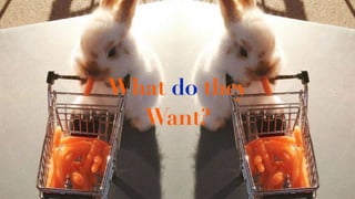 What do they
Want?
 
