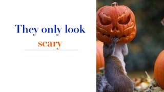 They only look
scary
 