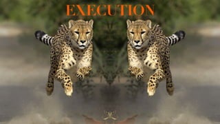 EXECUTION
 