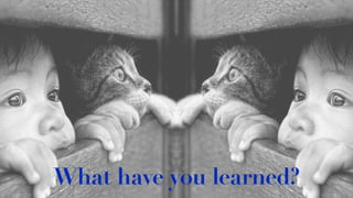 What have you learned?
 