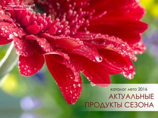 каталог лето 2016
АКТУАЛЬНЫЕ
ПРОДУКТЫ СЕЗОНА
 