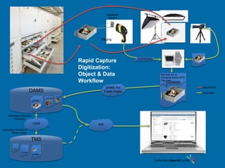 123456AB
C
123456ABC
CDIS
DAMS Hot
Folder IngestDAMS
TMS
IDS
Staging
Rapid Capture
Digitization:
Object & Data
Workflow
Barcode put in
Filename and/or IPTC
Title field:
Object Path
Data Path
DataMatrix
Barcode
Generates Derivative
Media Image
Generates Derivative
Metadata
123456AB
C
123456AB
C
123456ABD
123456ABD
123456ABE
123456ABE
 