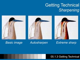 05.1.3 Getting Technical
Getting Technical
Sharpening
Basic image Autosharpen Extreme sharp
 
