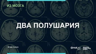 ДВА ПОЛУШАРИЯ
ИЗ МОЗГА