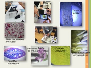 13	
στόματα	
φύλλων	
Στήμονες		
μαργαρίτας		
Πρωτόζωο		
Paramecium	
Καρκινικά	κύτταρα		
πνεύμονα		
η	άκρη	της	λαβίδας	
	σε	ένα	μικρό	λουλούδι	
μικρό	έντομο	μέσα	
	σε	ένα	λουλούδι		
 