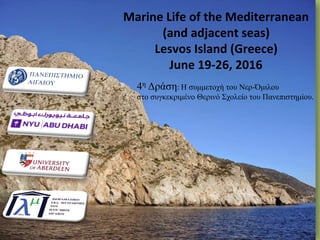 Marine	Life	of	the	Mediterranean	
(and	adjacent	seas)	
Lesvos	Island	(Greece)		
June	19-26,	2016	
4η Δράση:	Η συµµετοχή του Νερ-Όµιλου
στο συγκεκριµένο Θερινό Σχολείο του Πανεπιστηµίου.	
 