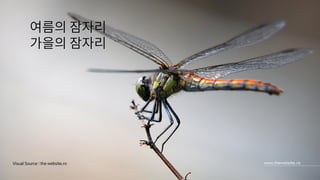 22
Visual Source : the website.ro
 