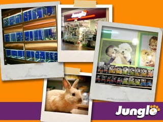 מצגת ג'ונגל 2016 