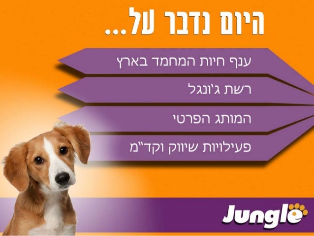 מצגת ג'ונגל 2016  Slide 2