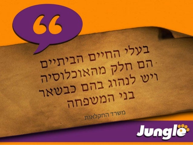 מצגת ג'ונגל 2016  Slide 3