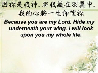 因祢是我神.將我藏在羽翼中.
我的心將一生仰望祢
Because you are my Lord. Hide my
underneath your wing. I will look
upon you my whole life.
 
