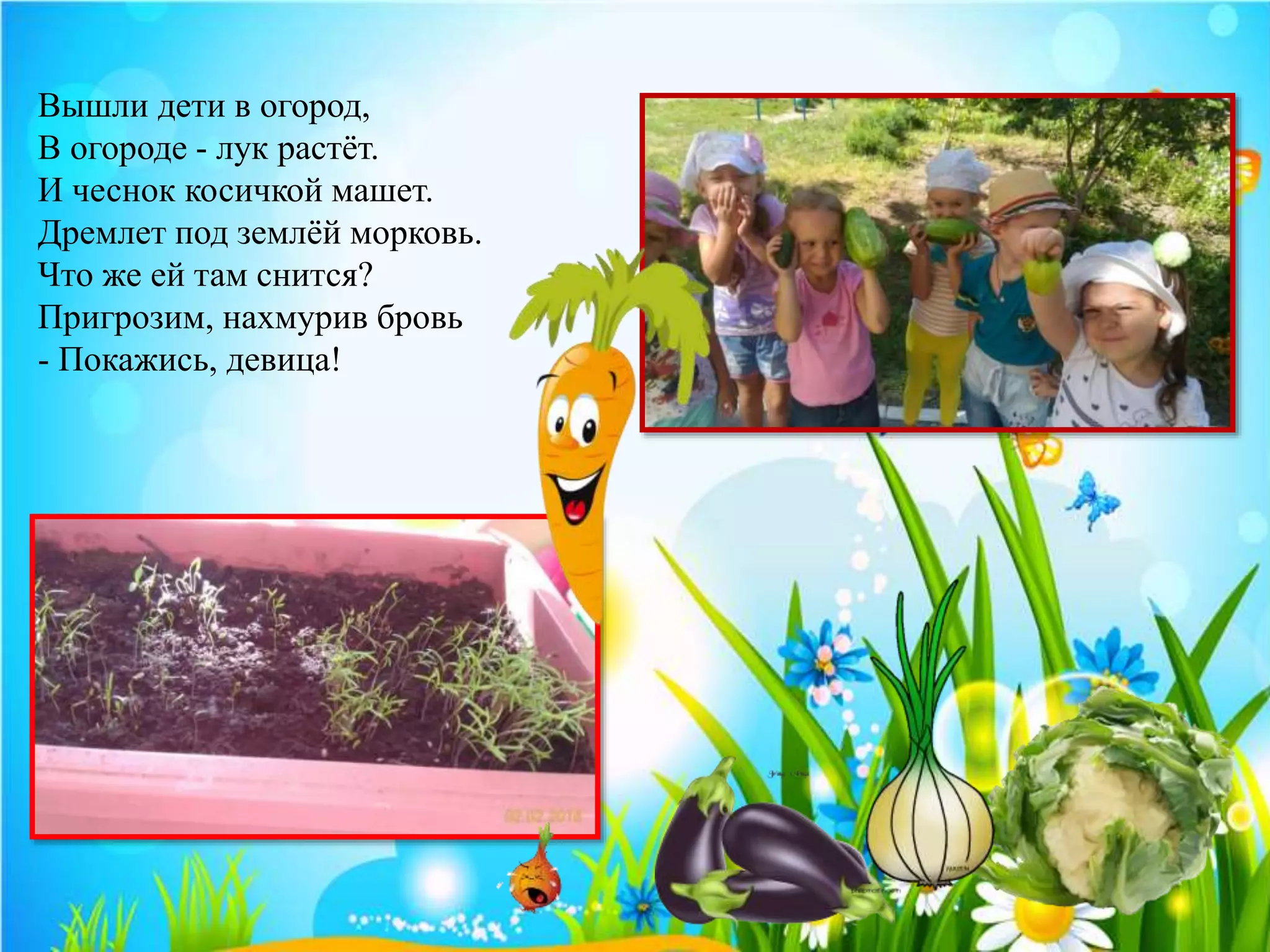 Вышли дети в огород,
В огороде - лук растёт.
И чеснок косичкой машет.
Дремлет под землёй морковь.
Что же ей там снится?
Пригрoзим, нахмурив бровь
- Покажись, девица!
 