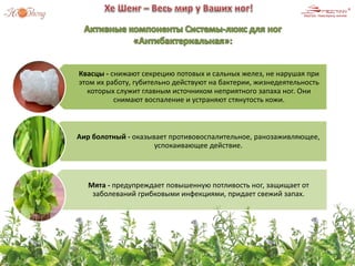 Квасцы - снижают секрецию потовых и сальных желез, не нарушая при
этом их работу, губительно действуют на бактерии, жизнедеятельность
которых служит главным источником неприятного запаха ног. Они
снимают воспаление и устраняют стянутость кожи.
Аир болотный - оказывает противовоспалительное, ранозаживляющее,
успокаивающее действие.
Мята - предупреждает повышенную потливость ног, защищает от
заболеваний грибковыми инфекциями, придает свежий запах.
 